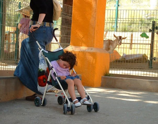 לישון - צילום 6